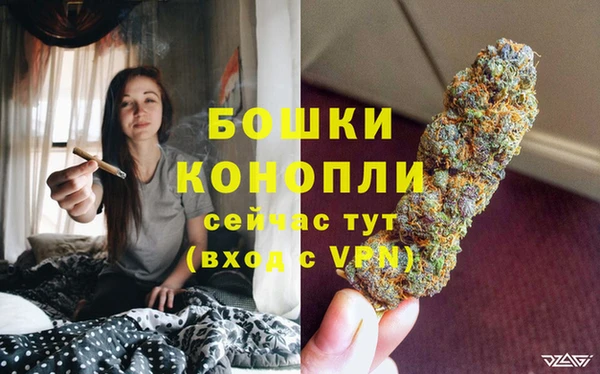 гидропоника Богданович