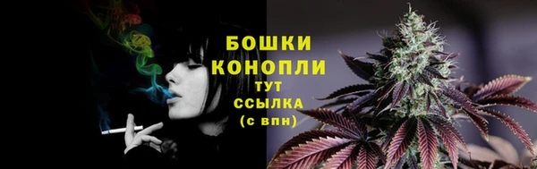 гидропоника Богданович