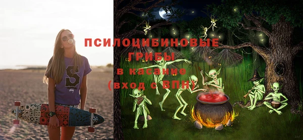 скорость Богородицк
